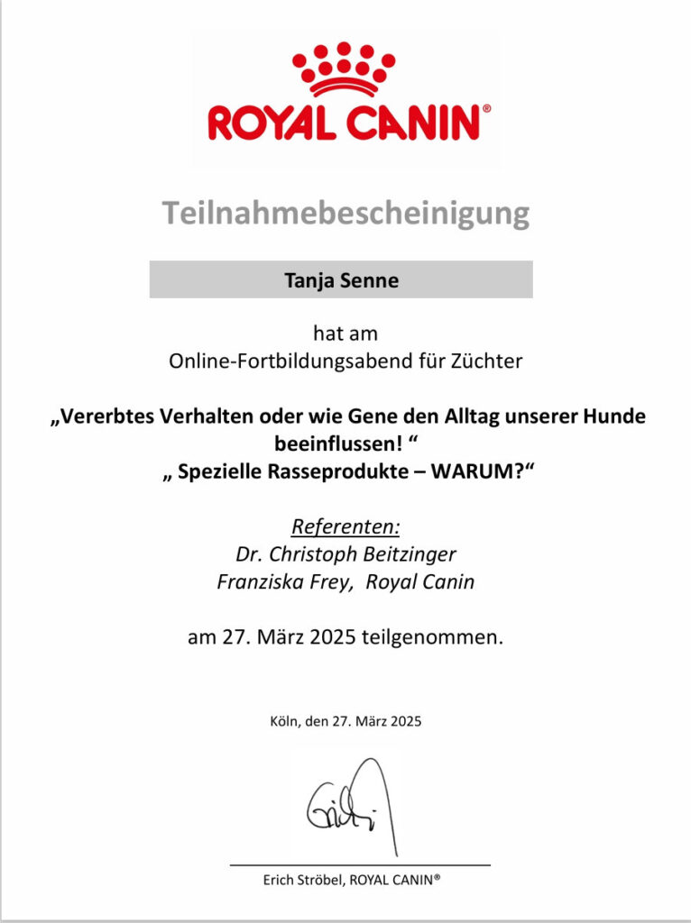 Teilnahmebescheinigung Fortbildung